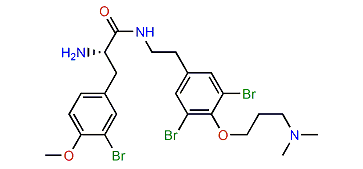 Suberedamine A